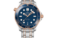 Omega Seamaster Diver 300M Mechanical Watch Overview (42mm)-Bokey Time