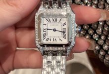 Cartier Panthère de Cartier Women’s Watch – Stainless Steel Quartz Elegant Edition-Bokey Time