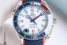 Omega Seamaster Planet Ocean 600M Diver Watch – 43.5mm Professional Dive Edition-Bokey Time