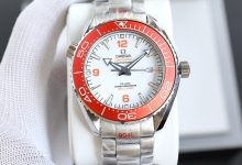 Omega Seamaster 600M Diver Chronometer Overview-Bokey Time